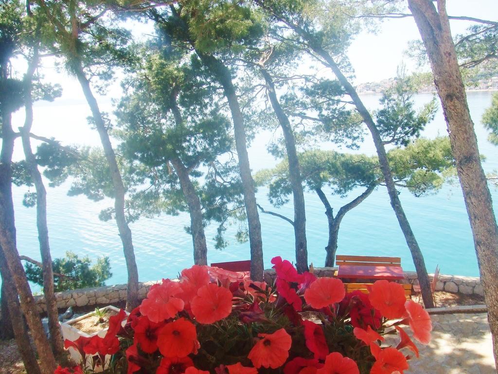 Apartment Jelas Živogošće Rum bild